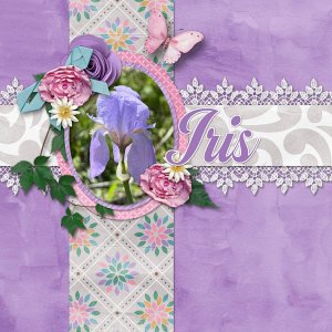 Iris