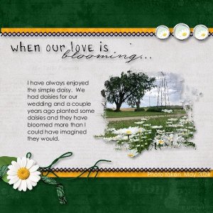 Daisies.jpg