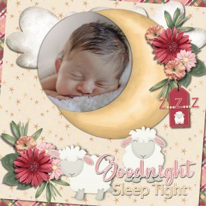 DLPatt_GoodnightSleepTight...zzz_web.jpg