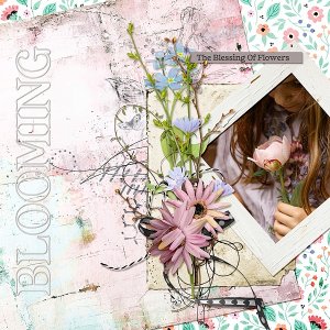 Blooming