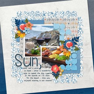 Sun, sand and a picnic