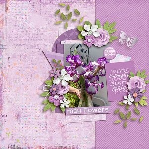 may-Flowers.jpg