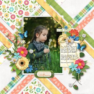 Wildflowers.jpg
