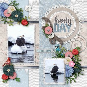 Frosty Day