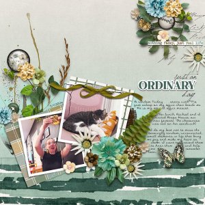 Ordinary-Day.jpg