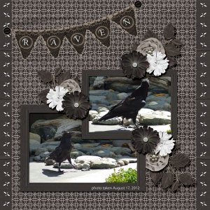 12-8-Raven small.jpg