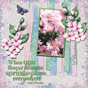 Blossoms