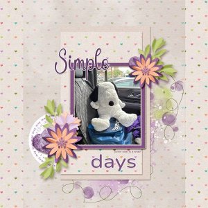 Simple Days