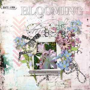 DLPatt_Blooming5-2026_web.jpg