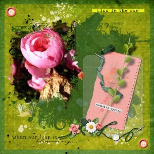 AnD_insd26_MBOX_may-flower-anja.jpg