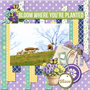 May Minikit From Connie Prince