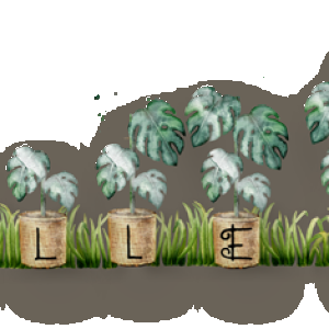 Siggie 06.2026
