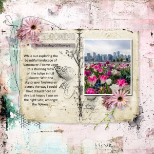 Vancouver_Victoria_Tulips-001.jpg