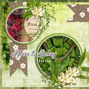 Lei-Contest-2026-web.jpg