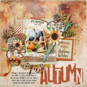 Autumns Embrace