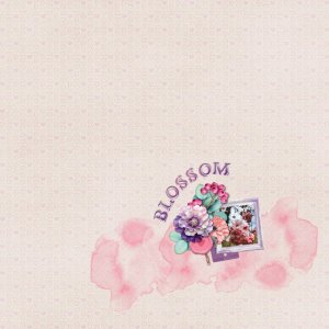 Blossom