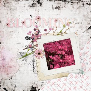 The Blessings of Flowers