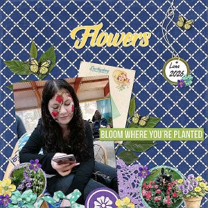 Flowers