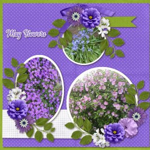 May Flowers