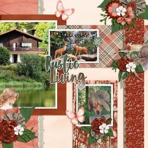 rustic living-left side