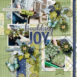 Budding Joy