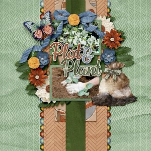 Plot & Plant