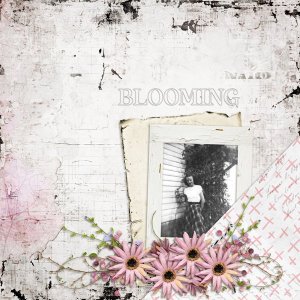 The Blessing Of Flowers Mini-CarolW.jpg