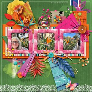 Bird of Paradise.jpg