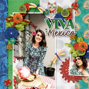 aimeeh_VIVAmexico-Mexicana_AHD-BigDeal6_600.jpg