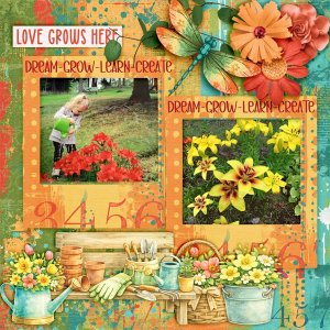 Love-grows-here.jpg