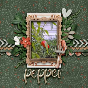Pepper