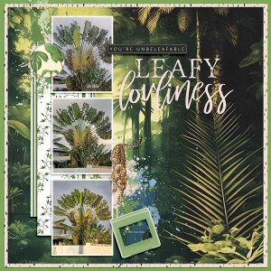 Traveller's-Palm-webv.jpg
