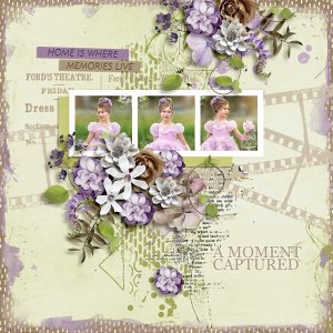 Priceless Moments Collection