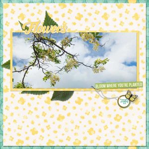 Shower-tree-@Target-.jpg