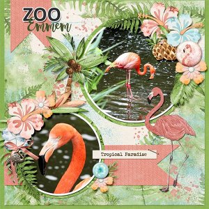 Tropical paradise