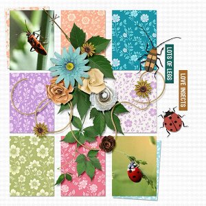 Love insects