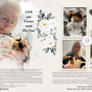 EllieMae Passing