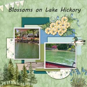 03 -- Hickory Lake Flowers  -- In a word -- Blossm's.jpg
