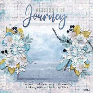 Across the Journey