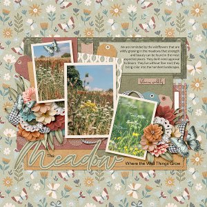 The Meadow