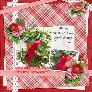 Strawberry-pot.jpg