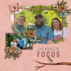 Focus-web.jpg