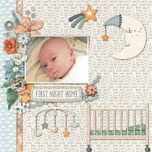 First Night Home