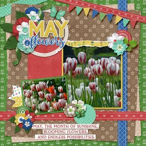 _May Flowers_