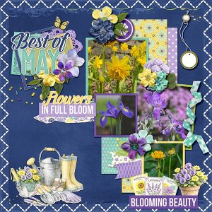 _May Flowers_