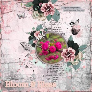 bloom