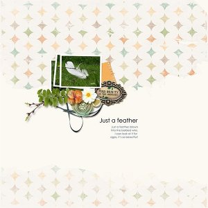 Just a feather