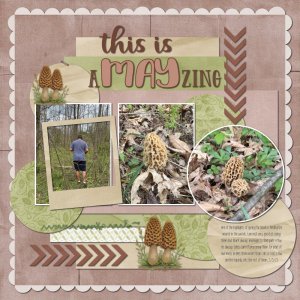 Morels 5-3-25