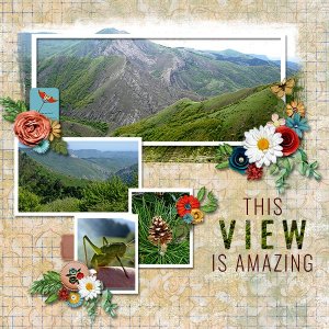 AmazingView_ollitko_600.jpg