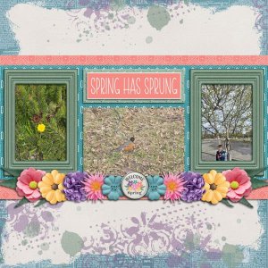 spring has sprung